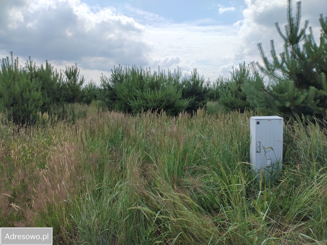 Działka inna Radzewo, ul. Wolińska