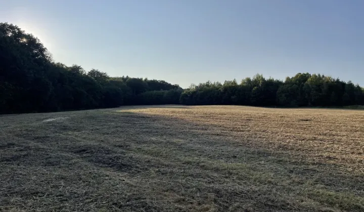 Działka rolna Dzierążnia