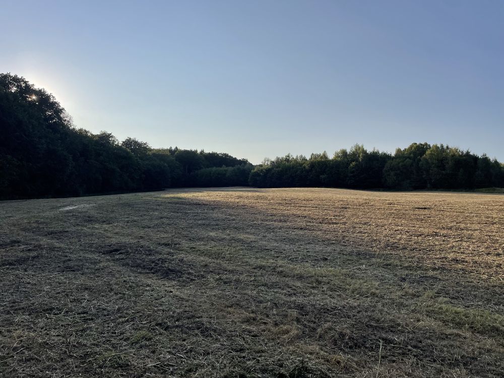 Działka rolna Dzierążnia