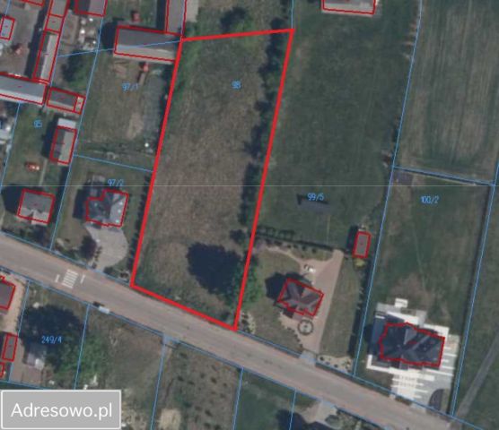 Działka rolna Rydzyn Szlachecki. Zdjęcie 1