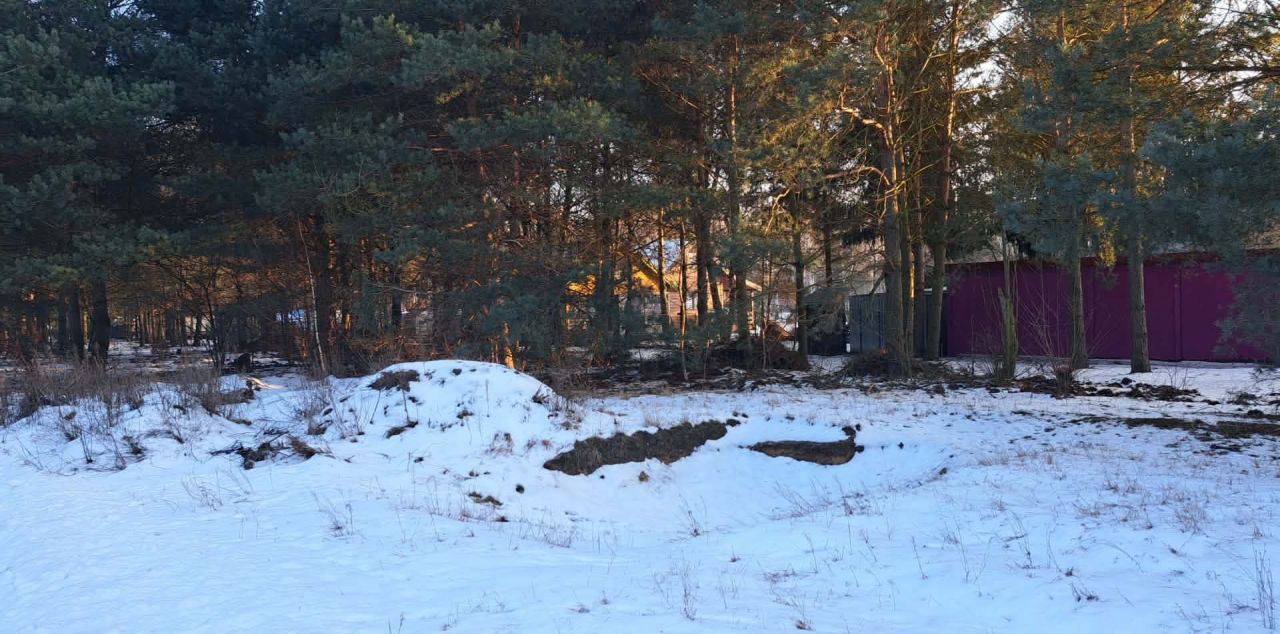 Działka rolna Karolinów, ul. Spacerowa. Zdjęcie 7