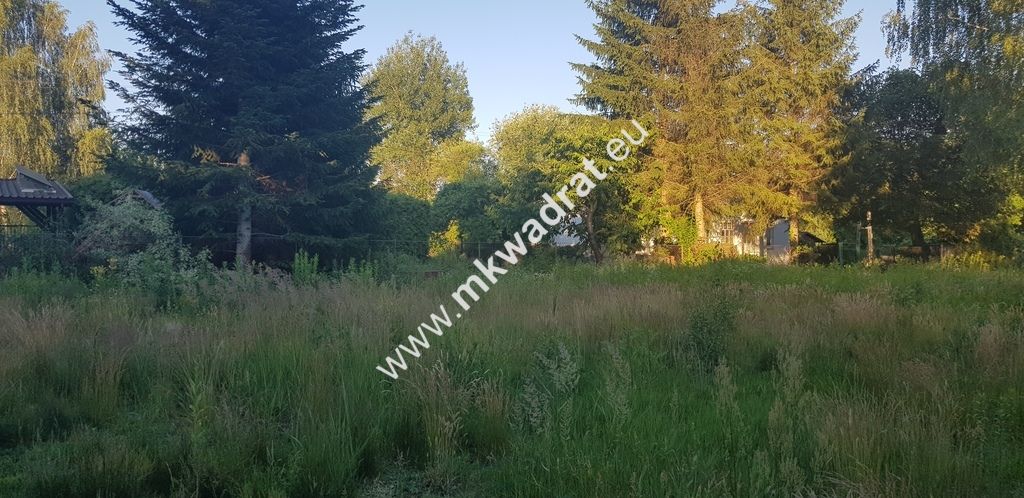 Działka budowlana Granica. Zdjęcie 1