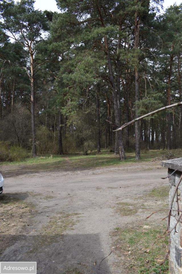 dom wolnostojący, 6 pokoi Bydgoszcz Miedzyń, ul. Bluszczowa. Zdjęcie 10