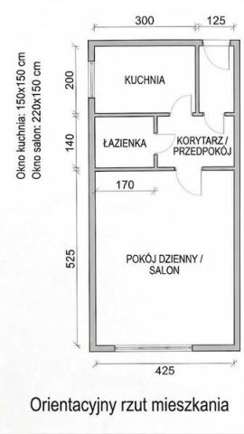 Mieszkanie 1-pokojowe Katowice Śródmieście, ul. ks. bp. Stanisława Adamskiego. Zdjęcie 5