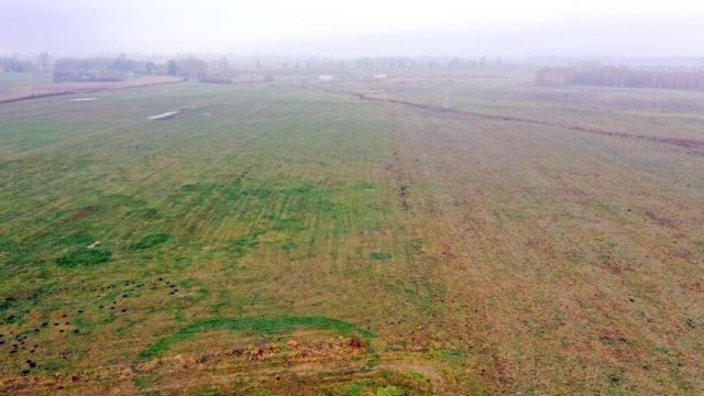 Działka rolna Siedliska. Zdjęcie 13