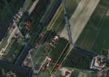 Działka siedliskowa Mieleszynek. Zdjęcie 1