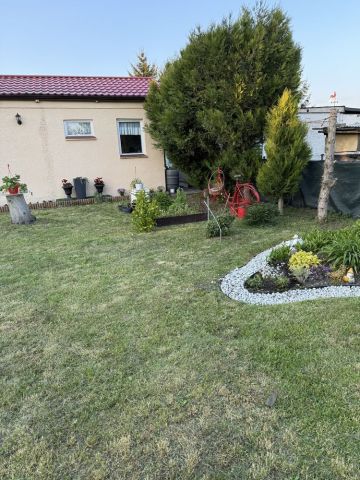 Działka rod Grudziądz, ul. Ludwika Waryńskiego. Zdjęcie 1