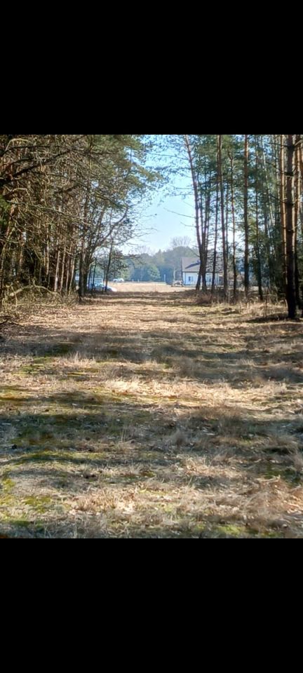Działka rolno-budowlana Karolina. Zdjęcie 3