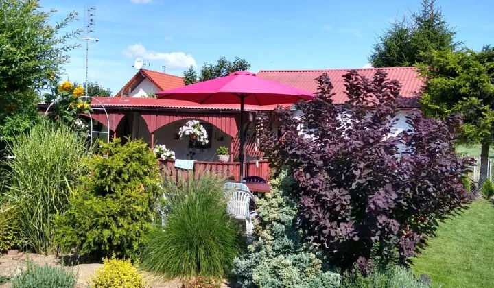 Działka rod Grudziądz, ul. Miłoleśna