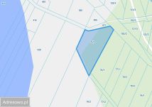 Działka leśna Kuźnica Żerechowska. Zdjęcie 2