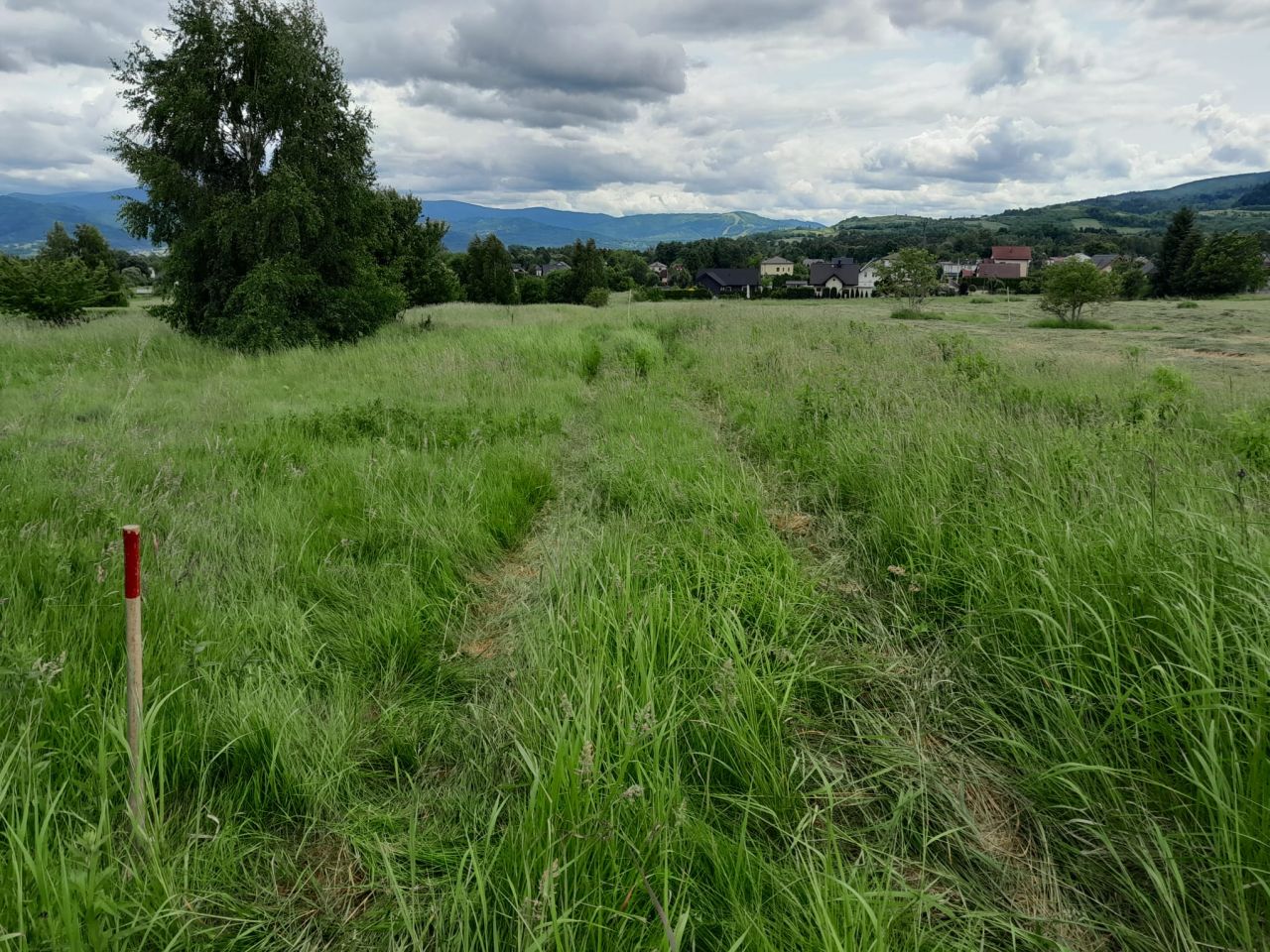 Działka budowlana Lipowa, ul. Promienna. Zdjęcie 13