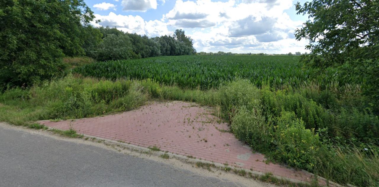 Działka siedliskowa Łęg. Zdjęcie 11