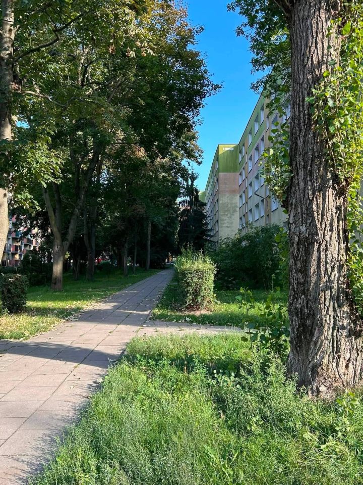 Mieszkanie 3-pokojowe Łódź Chojny, ul. Lecznicza. Zdjęcie 19