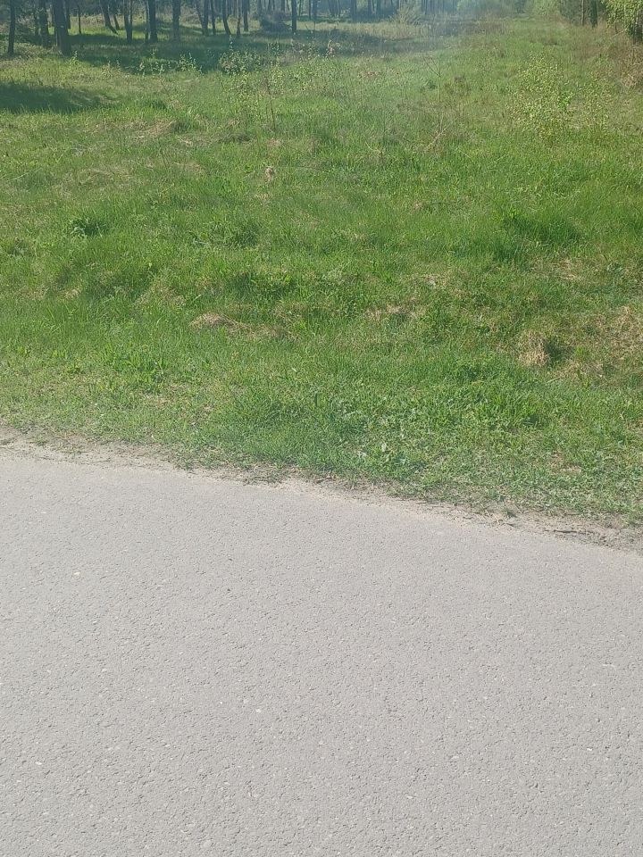 Działka budowlana Basznia Dolna Piaski, ul. Sportowa. Zdjęcie 3