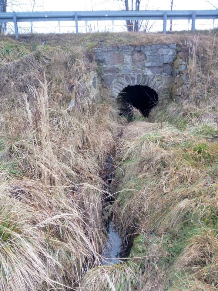 Działka Boroszów. Zdjęcie 2