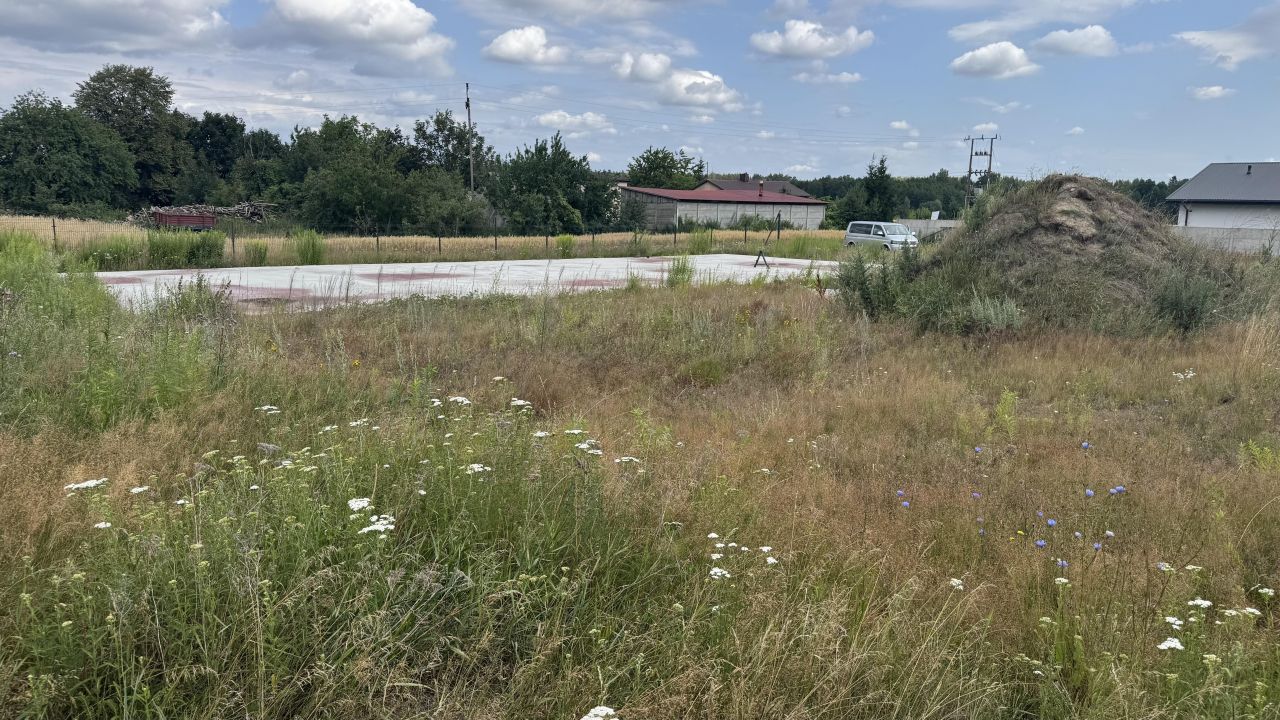 Działka inna Niesułków-Kolonia. Zdjęcie 3