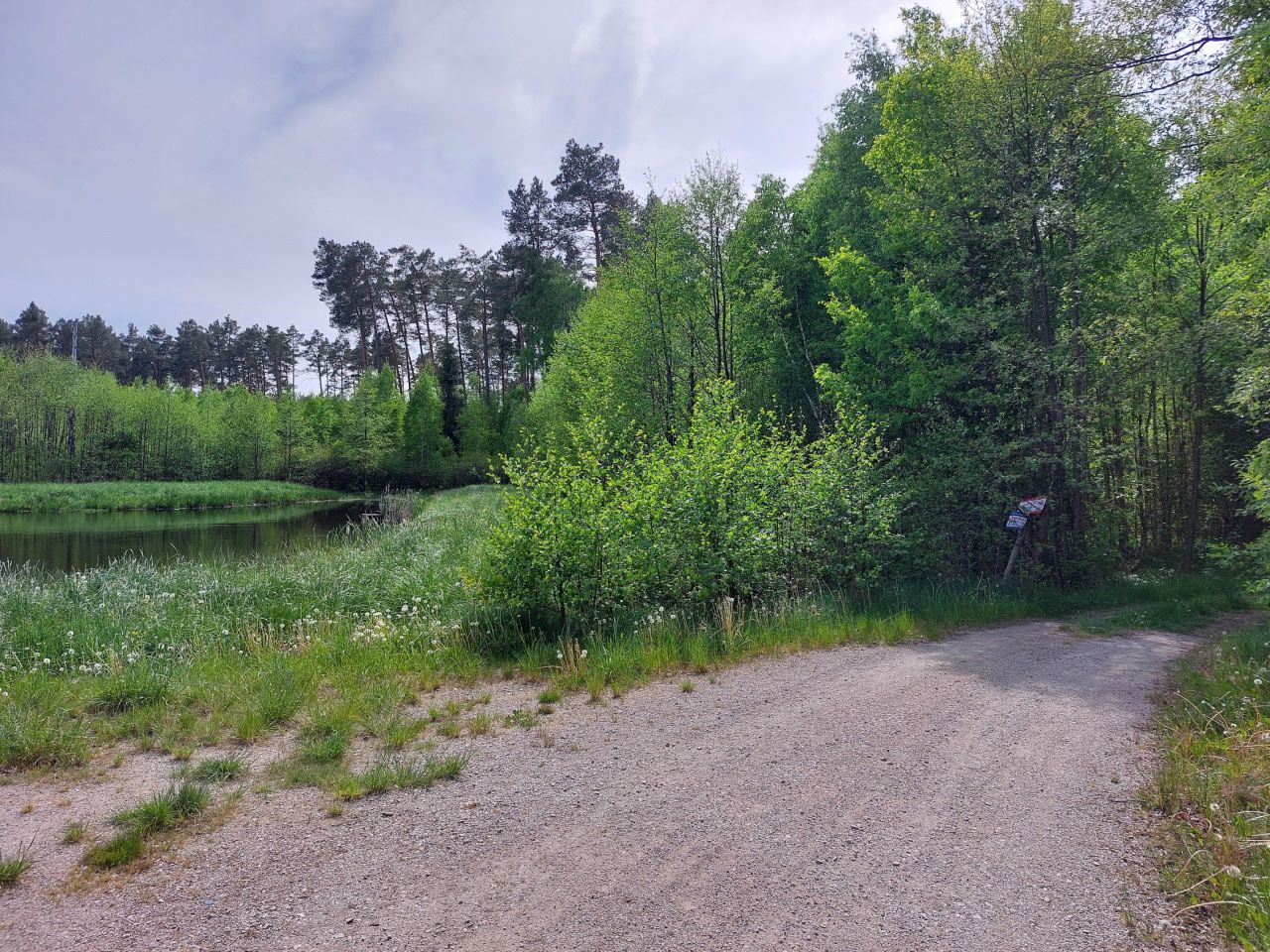 Działka rekreacyjna Starzechowice Sęp, BRAK. Zdjęcie 17