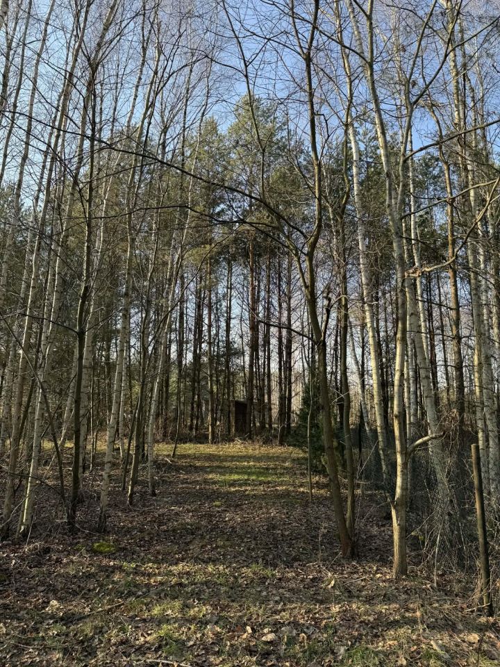 Działka rekreacyjna Gucin. Zdjęcie 8