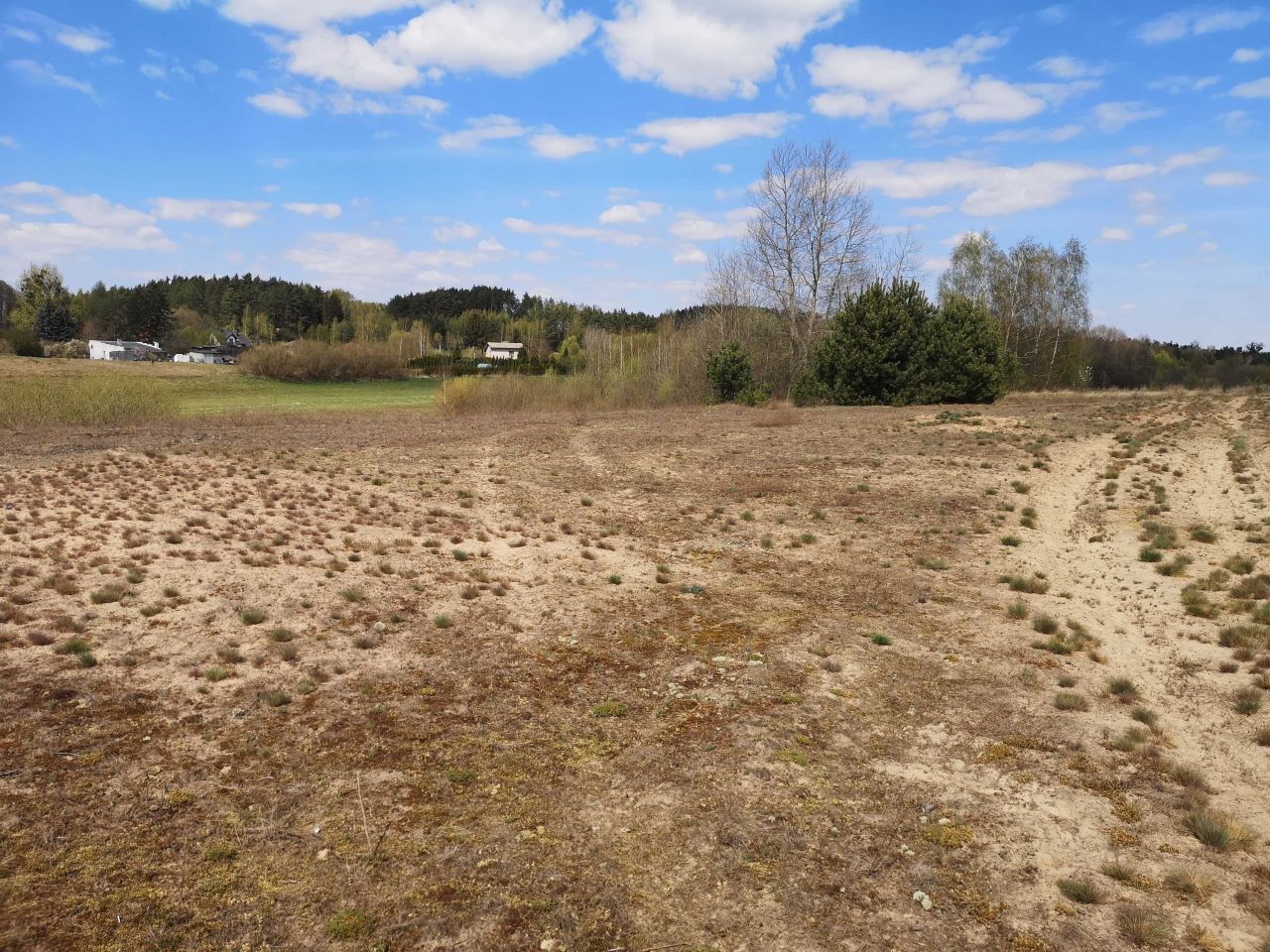 Działka rolno-budowlana Brodnica, ul. Targowa. Zdjęcie 6