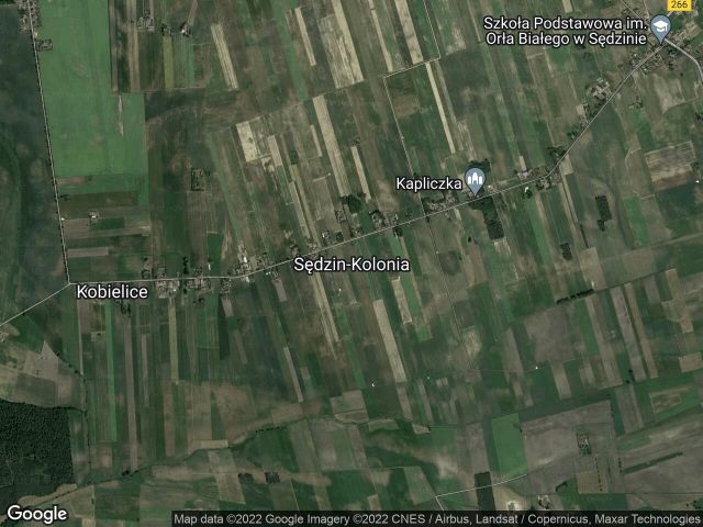 Działka rolna Sędzin-Kolonia. Zdjęcie 1