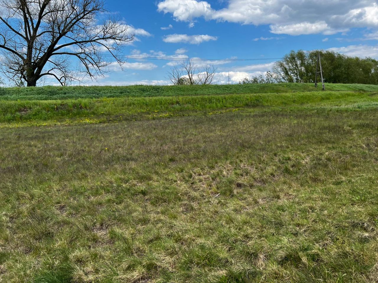 Działka rolna Kołczyn, Kołczyn. Zdjęcie 7