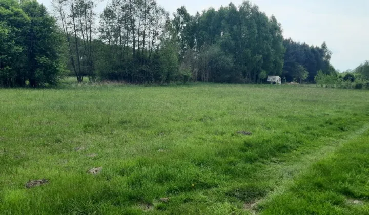 Działka rekreacyjna Rembieszów