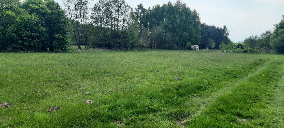 Działka rekreacyjna Rembieszów. Zdjęcie 1