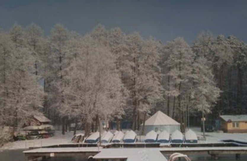 Działka inwestycyjna Rogóźno. Zdjęcie 11