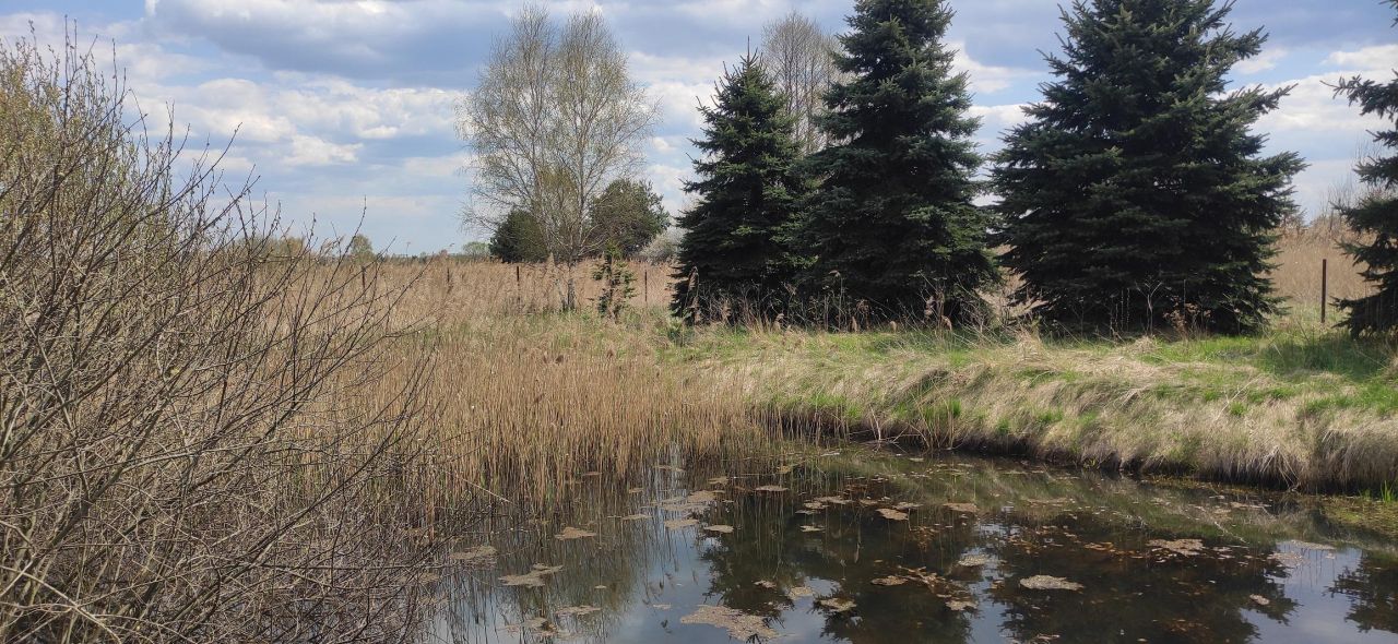 Działka inwestycyjna Skarżysko-Kamienna Skarżysko Książęce, ul. Kopernika. Zdjęcie 6