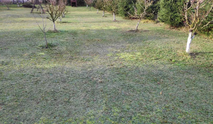 Działka budowlana Łubianka, ul. Letniskowa