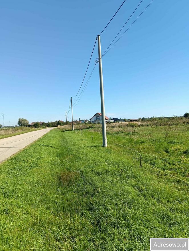 Działka siedliskowa Osiek. Zdjęcie 11