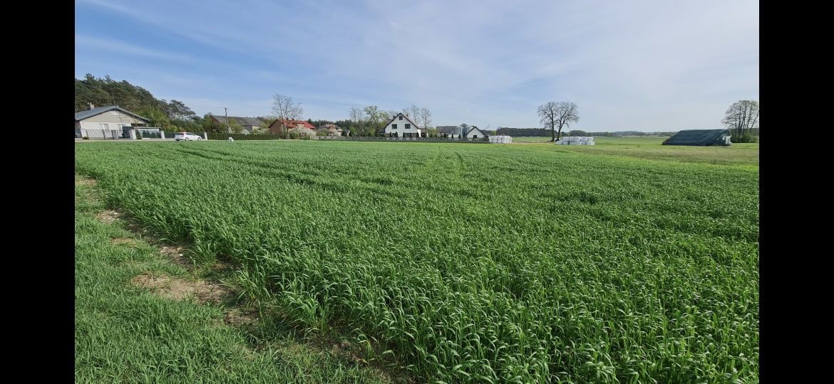 Działka budowlana Ceniawy. Zdjęcie 1