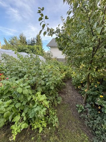 dom wolnostojący, 5 pokoi Rypin, ul. 3 Maja. Zdjęcie 38