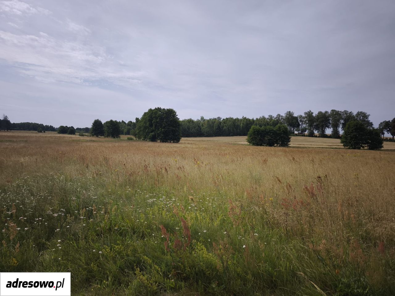 Działka rolno-budowlana Barkowo. Zdjęcie 10
