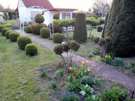 Działka rekreacyjna Toruń Rubinkowo