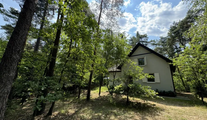 dom wolnostojący, 8 pokoi Wilga