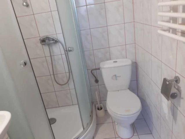 gospodarstwo, 12 pokoi Dobrzyń nad Wisłą, ul. Zamkowa. Zdjęcie 2