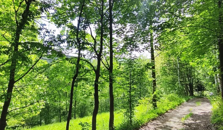 Działka budowlana Konradów