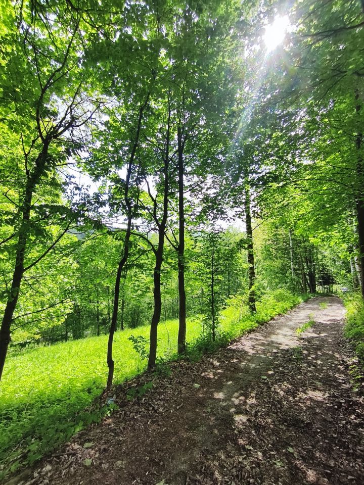Działka budowlana Konradów. Zdjęcie 1