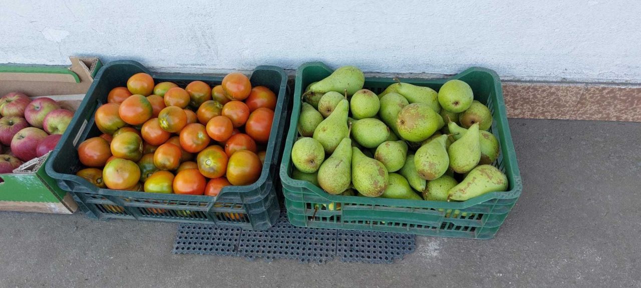 Działka rod Stargard. Zdjęcie 2