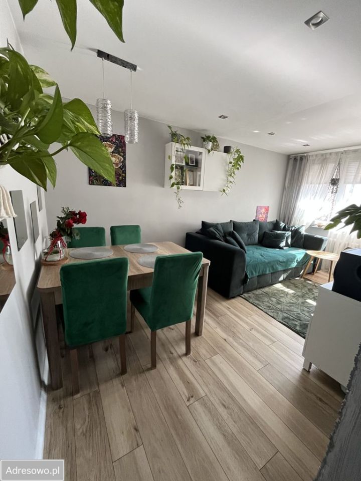 Mieszkanie 3-pokojowe Sosnowiec Pogoń, ul. Szpaków. Zdjęcie 9