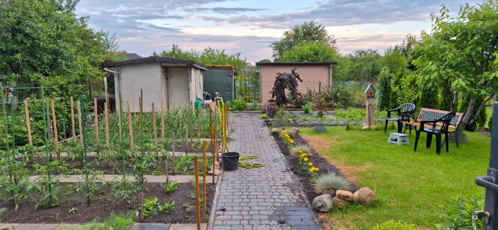 Działka rod Szczytno. Zdjęcie 1