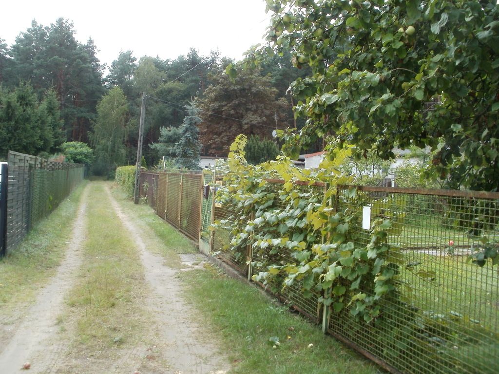 Działka budowlana Hornówek, ul. 3 Maja. Zdjęcie 7