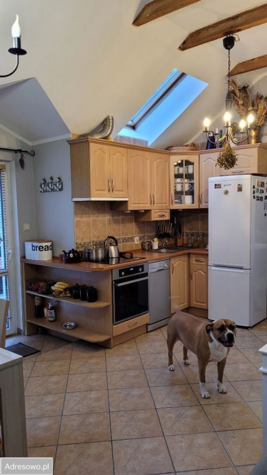 Lokal Poddąbie, ul. Spacerowa. Zdjęcie 14