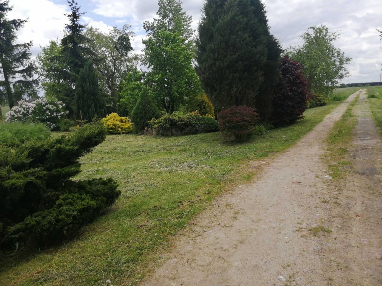 gospodarstwo Ładzyń. Zdjęcie 6