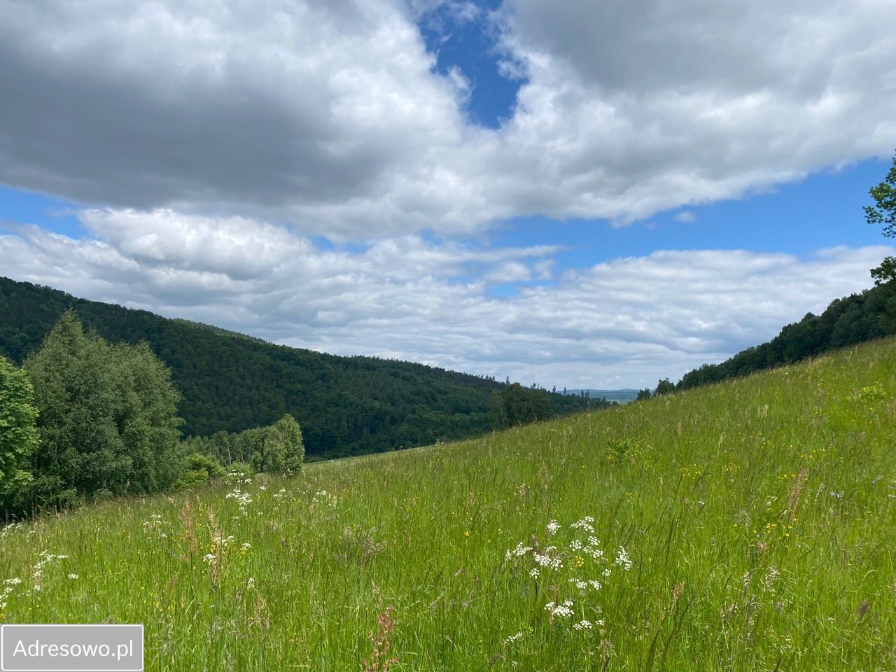 Działka budowlana Nowa Bystrzyca. Zdjęcie 10