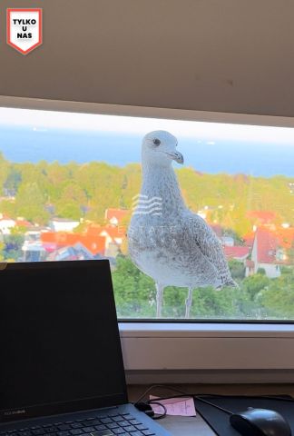 Mieszkanie 3-pokojowe Sopot Kamienny Potok, ul. Kujawska. Zdjęcie 20