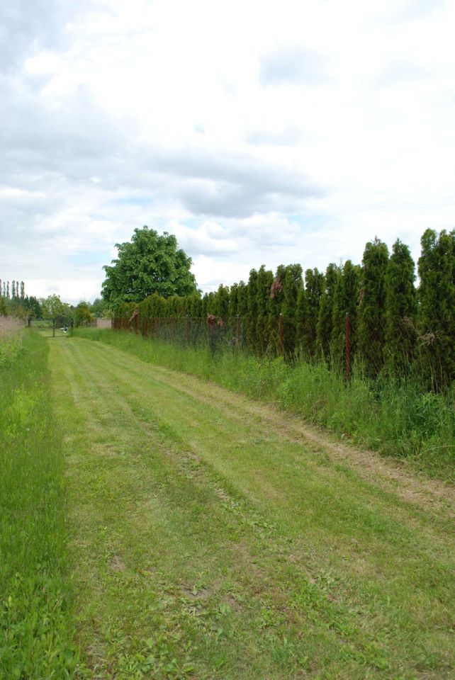 Działka rolno-budowlana Koczargi Nowe. Zdjęcie 6