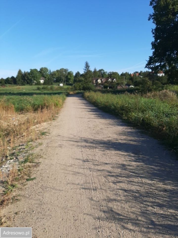 Działka budowlana Dębina, ul. Torfowa. Zdjęcie 2