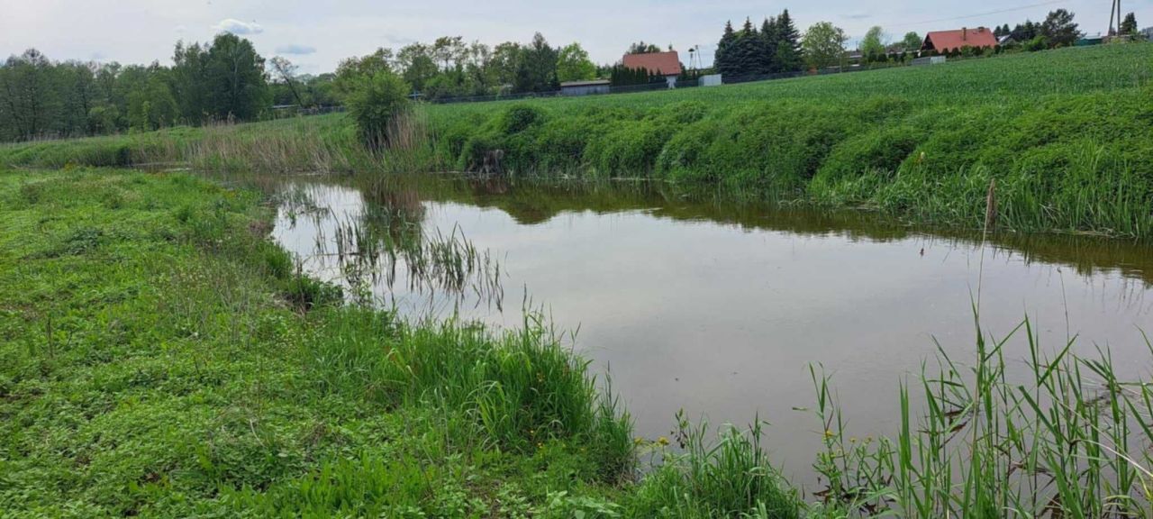 siedlisko Turowola. Zdjęcie 7